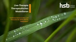 Stream: Live-Therapie Therapeutisches Modellieren