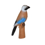 Eichelhäher von Beier IBB