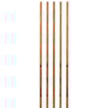 Bearpaw Traditional Timber Spine 500