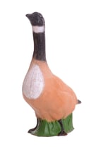 Graugans von Franzbogen