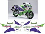 グラフィックステッカー ZX-9 R NINJA 1994