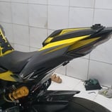 MDX ZX-25R ZX-4R テールサイドパネル EVO