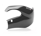 CARBON2RACE CB1000R 08-16 スイングアームカバー