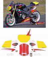 グラフィックステッカー TUONO 1000 03 - 05 RACING FACTORY