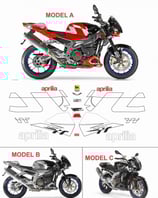 グラフィックステッカー TUONO 1000 06 - 07