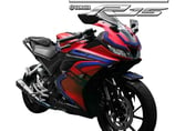 YZF-R15 サイド プロテクターパッド
