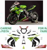 グラフィックステッカー ZX 10 R 2011 - 2015 SBK 2013 PISTA