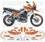 グラフィックステッカー タイガー 800 XC 2010 - 2014 ICON DAKAR