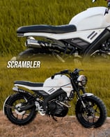 DMWORK MC XSR155 リアボディキット スクランブラー