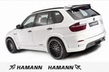 HAMANN サイドステッカー