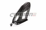 CARBON2RACE SPEED TRIPLE 1050 11-19 リアフェンダー
