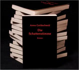 Anno Goldschmid: »Die Schattenstimme«
