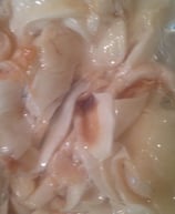 Kokos jung getrocknet 100g