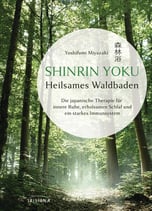 Heilsames Waldbaden SHINRIN YOKU