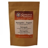 Astragalus Pulver 250g
