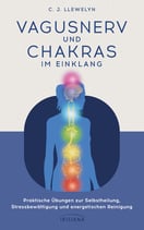 Vagusnerv und Chakras im Einklang