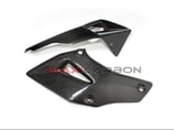 MAXI CARBON MULTISTRADA 1200 10-14 BELLY PAN