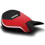 LUIMOTO PANIGALE 1199 R Edition Rider