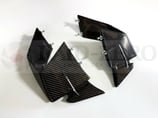 S1000RR 19-22 WINGLET CARBON
