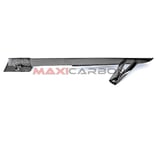 MAXI CARBON S1000R 14-20 CHAIN GUARD