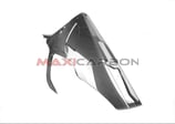 MAXI CARBON S1000RR 19-23 LONG BELLY PAN