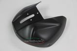 PANIGALE 1199 EXHAUST GUARD TERMI
