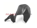 MAXI CARBON PANIGALE 1199 SWINGARM COVER