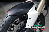 MULTISTRADA 1200 FRONT FENDER COLOR