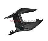 MAXI CARBON S1000R 14-20 TAIL