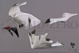 Race fairing CBR1000RR 08-11