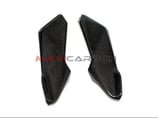 MAXI CARBON F4 98-99 TANK SIDE PANEL