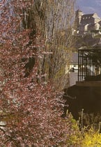 Carte postale no 7 - Sion, château de Valère