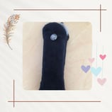 Beutel für Extraktionskristall