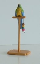 Blue Green Yellow Macaw Parrot on Perch