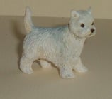 White Terrier Dog