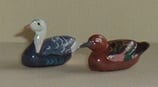 Pair of Ducks