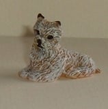 Brown & White Terrier Dog