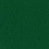 Bazzill "Classic green", cod. 846523036368