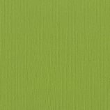 Bazzill "Lizard", cod. 846523018401