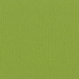 Bazzill "Parakeet", cod. 870709003509