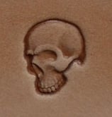 Matoir n°104 crâne profil