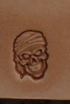 Matoir n°118 crâne