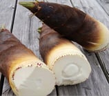 北限のタケノコ　【送料は着払い】