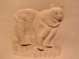 Tiere Relief Bär