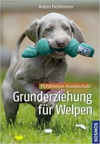 Grunderziehung für Welpen: Fichtlmeiers Hundeschule