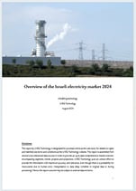 Overview of the Israeli electricity market