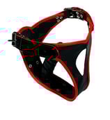 50-8070 Lederslip Dildo-Slip