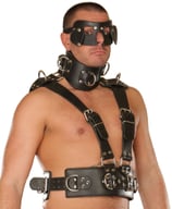50-8043 Leder Harness