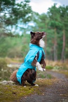 Kuori mit Brustgeschirröffnung und Beinschlaufen