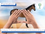 Analyse Transactionnelle en Médiation Equine